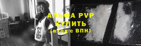 прущие грибы Верея