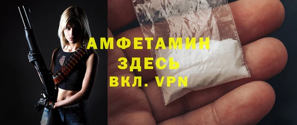 прущие грибы Верея