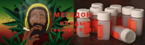прущие грибы Верея