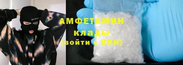 прущие грибы Верея
