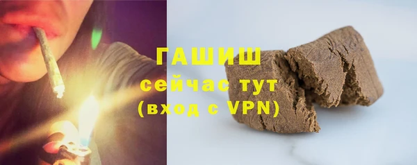 прущие грибы Верея