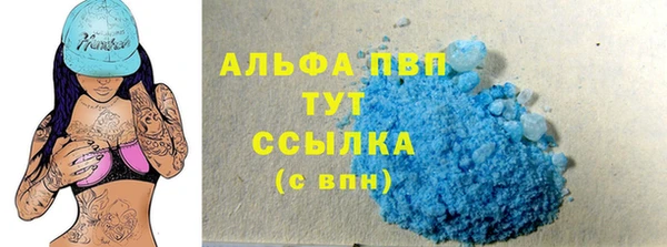 прущие грибы Верея