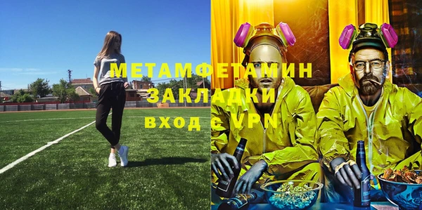 прущие грибы Верея